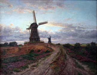 Molino Margaret Husum